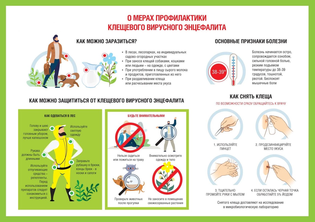 Профилактика клещевого вирусного энцефалита.